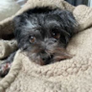 Meet your Posher, Rick